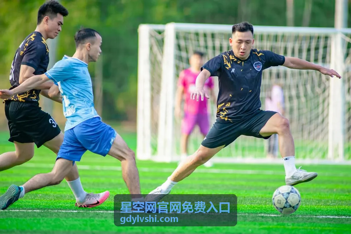 星空网官网免费入口电脑端打开后的页面布局示意